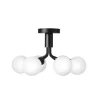 Apiales 6 Ceiling Taklampa | Satin Black/Opal