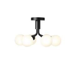 Apiales 6 Ceiling Taklampa | Satin Black/Opal