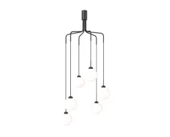 Apiales Cluster Taklampa | Satin Black/Opal