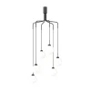 Apiales Cluster Taklampa | Satin Black/Opal