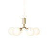 Apiales 6 Ljuskrona | Brushed Brass/Opal