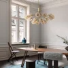 Apiales 18 Ljuskrona | Brushed Brass/Optic Gold
