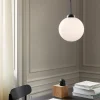 Apiales 1 Pendel Large | Satin Black/Opal