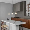 Apiales 1 Pendel | Satin Black/Opal