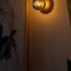 Bee Vägglampa | Guld | Rökfärgat Glas