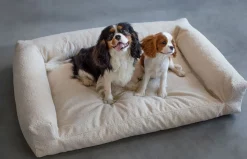 Bichon Djursäng