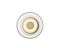 Blossi Vägglampa | Nordic Gold/Clear