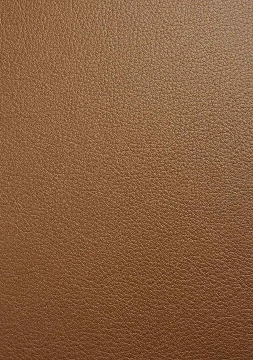 Bok Stol | Lackad Ek | Läder Cognac