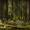 Bord B31 170 + Bord B31 84 + 8 st Fåtölj A2 Matgrupp | Oljad Ek
