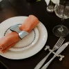 Bowie Servettring 2-pack | Rostfritt Stål