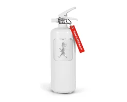 Brandsläckare Vit/Silver 2 kg