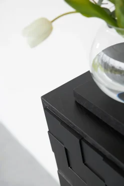 Collect 2016 Skåp Högt | Svartmålad Ek