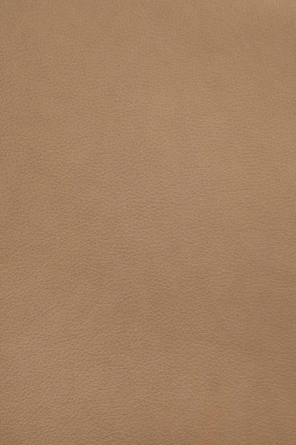 Eye Loungestol | Lackad Ek | Läder Sienna