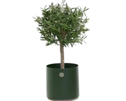 Grow Planter Ø38 | Dark Green/ Taupe