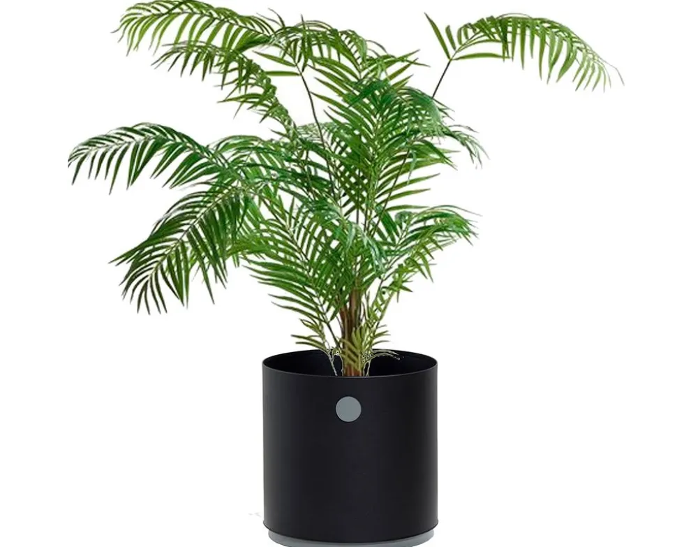 Grow Planter Ø38 | Lava Grey/ Light Grey