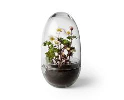 Grow Växthus | Medium