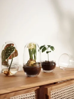 Grow Växthus | Medium