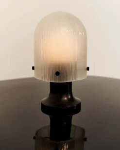 Seine Portabel Lampa