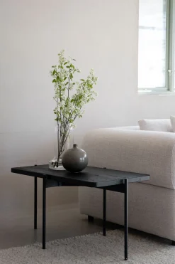 Shelton Soffbord | 95x50 Svart Ask