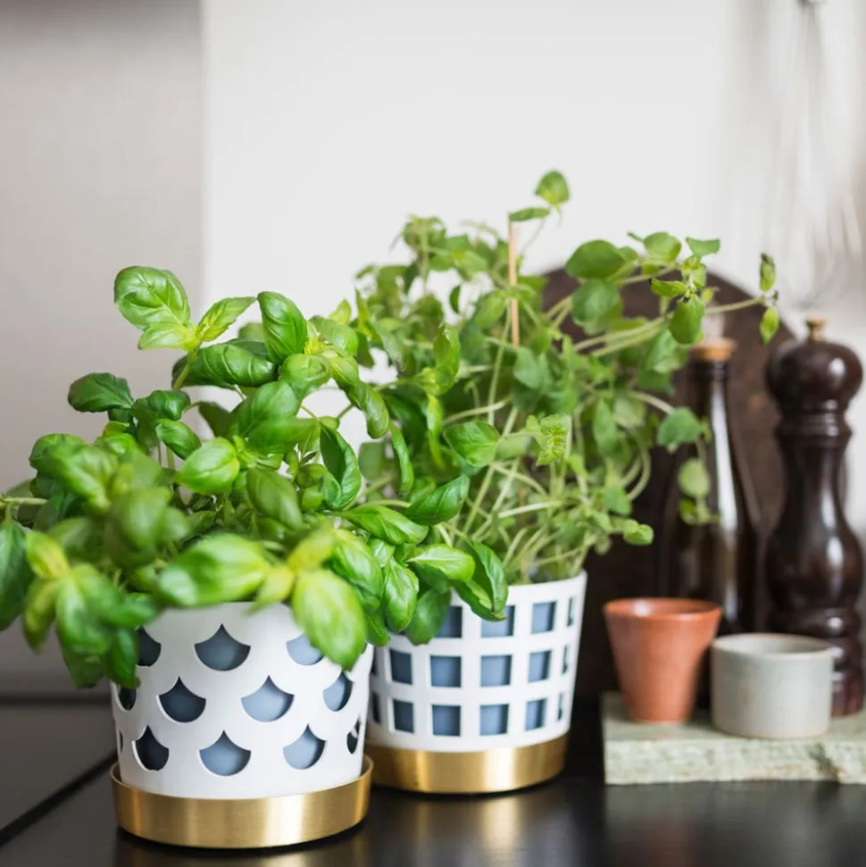 Trio Drop Blomkruka | Liten | Vit