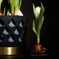 Trio Drop Blomkruka | Medium | Blå