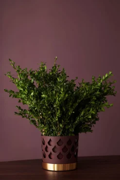 Trio Drop Blomkruka | Medium | Mörkröd