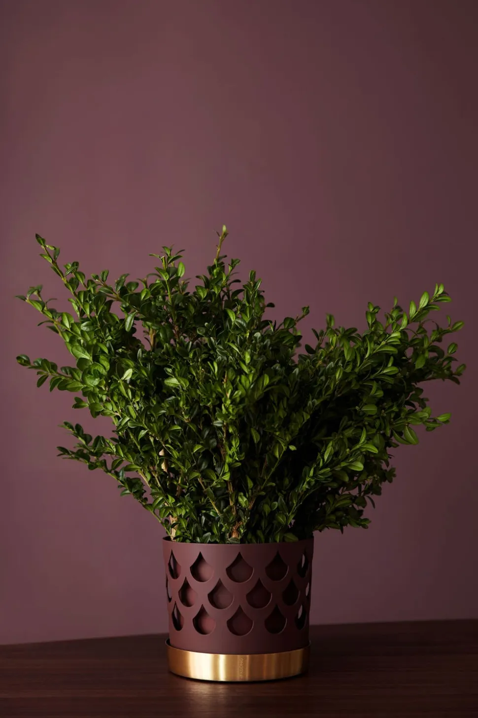 Trio Drop Blomkruka | Medium | Mörkröd