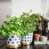 Trio Square Kruka | Liten | Vit