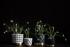 Trio Square Kruka | Mellan | Vit