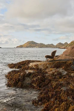 Vipp 469 Lodge Lounge Chair | Fårskinn Curly 09