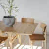 Wolcott Stol Ek / Brun